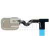 Fingerprint Gold Flat Cable Samsung SM-J600 J6 2018