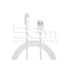 Apple OEM Data Cable 3m