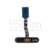 Fingerprint Silver Flat Cable Samsung SM-G970F S10e Ori