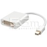 Mini DP to DVI Adapter Converter White