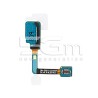 Sensore Flat Cable Samsung SM-G980 - G981 S20 5G Ori