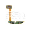 Sensor Flex Cable Samsung SM-R885 42mm